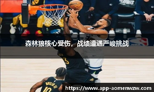 王中王资料